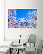 Obraz Zasnežená Hora Fuji 1380